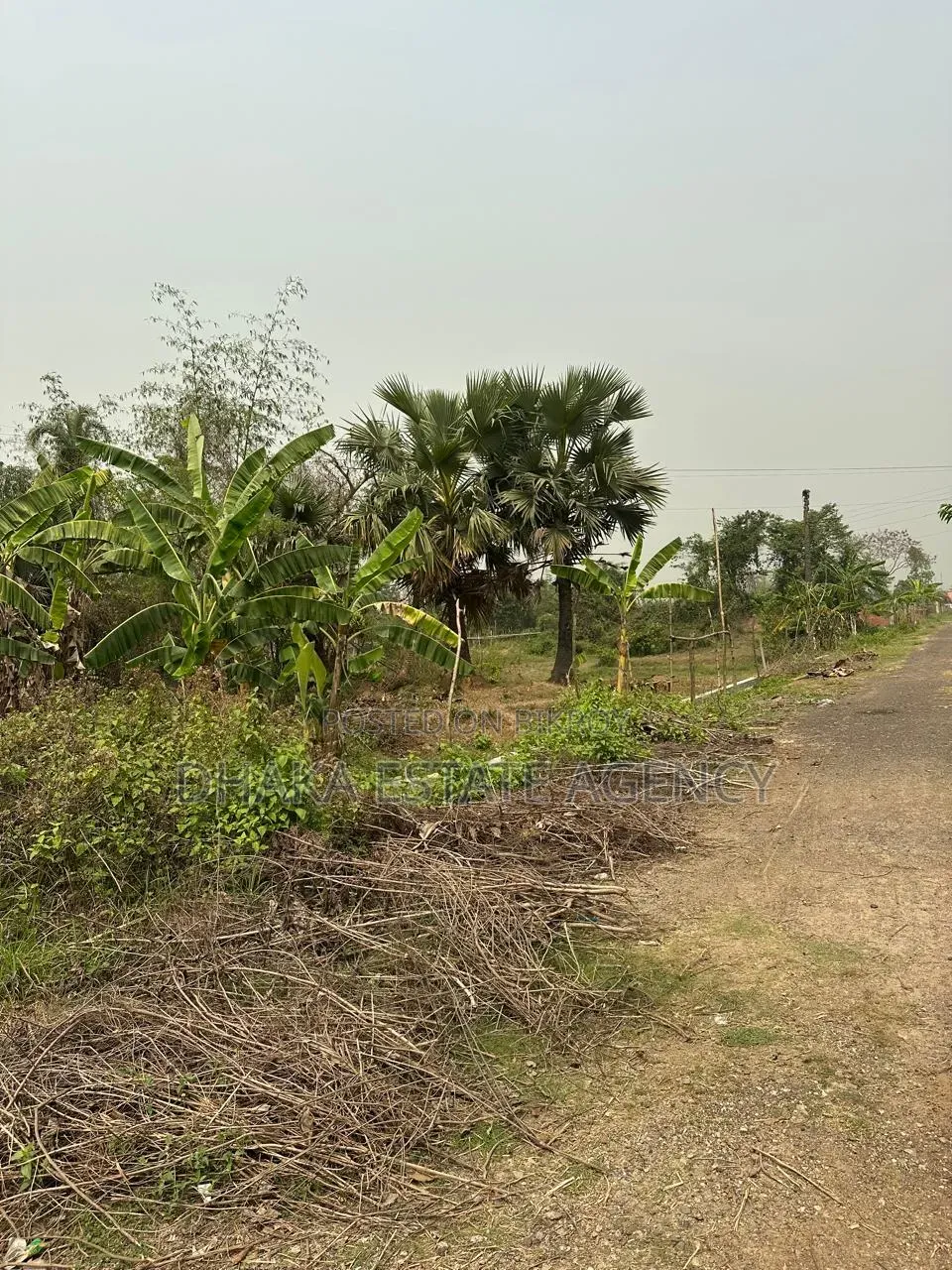 Block-M, 4+4=8, Katha South Facing Plot Sale
