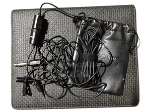 Microphone