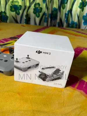 Dji Mini 3 Stranded