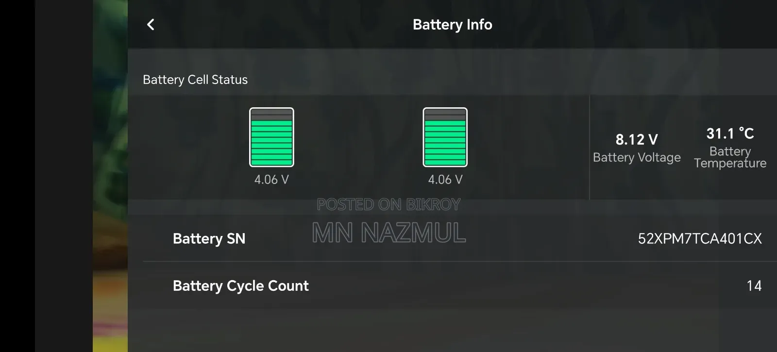 Dji Mini 3 Stranded
