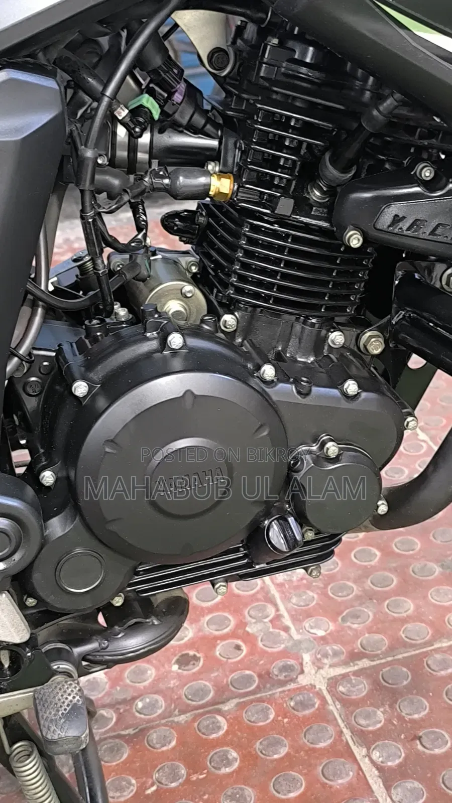 Yamaha FZ6 2024 Black