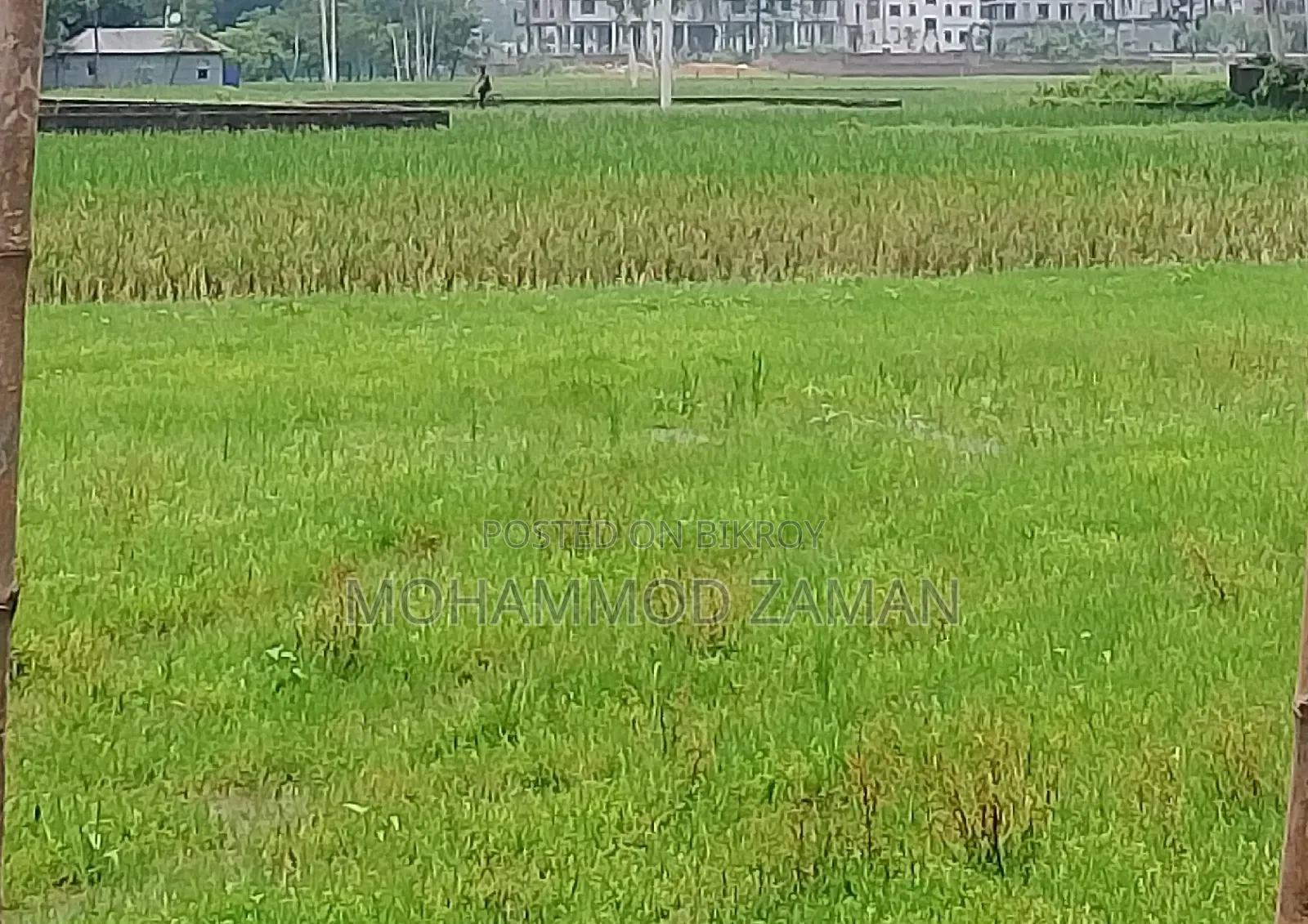 Urgent sale of 5 decimals of land, price 12 lakhs per decimal
