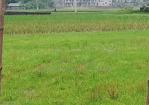 Urgent sale of 5 decimals of land, price 12 lakhs per decimal
