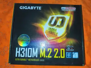H310m M22.0 Motherboard