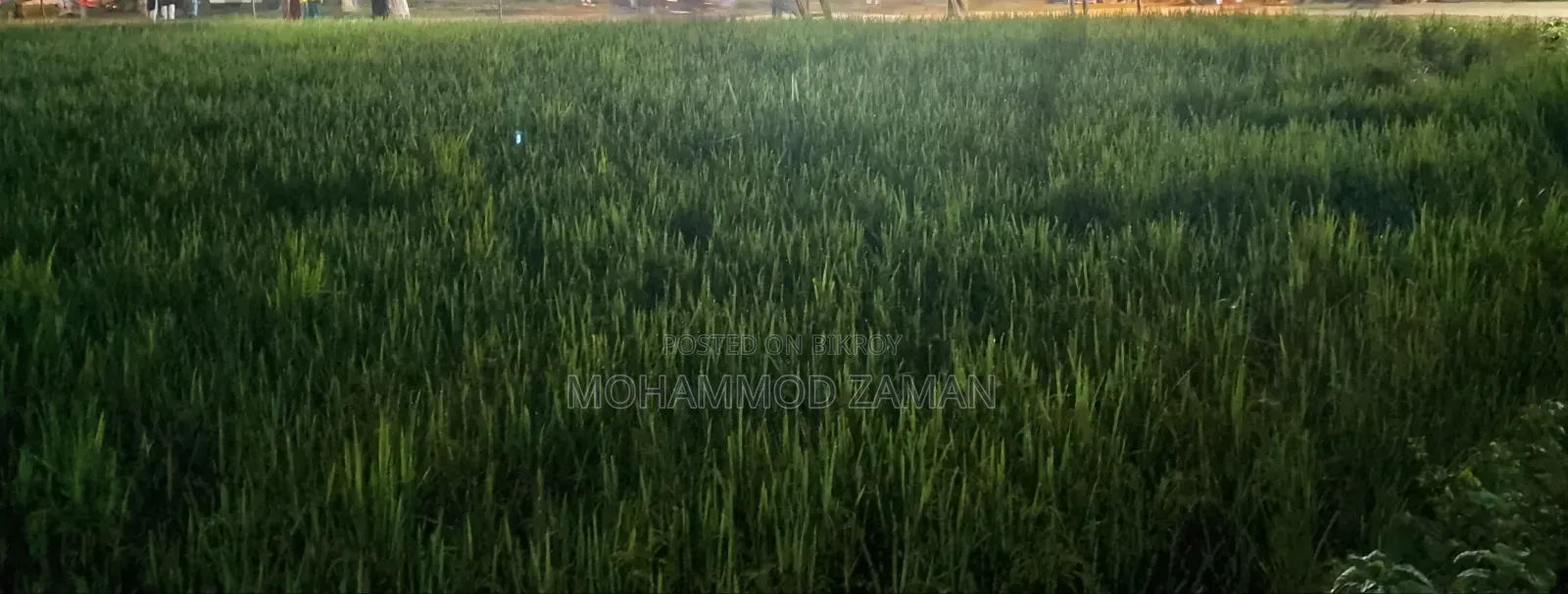 Urgent sale of 5 decimals of land, price 12 lakhs per decimal