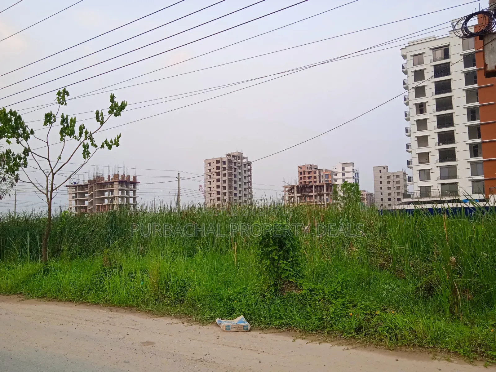Premium South-facing 3 Katha Plot for Sale in Bashundhara N Block