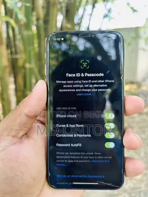 অ্যাপল আইফোন এক্সএস ৬৪ জিবি রোজ গোল্ড