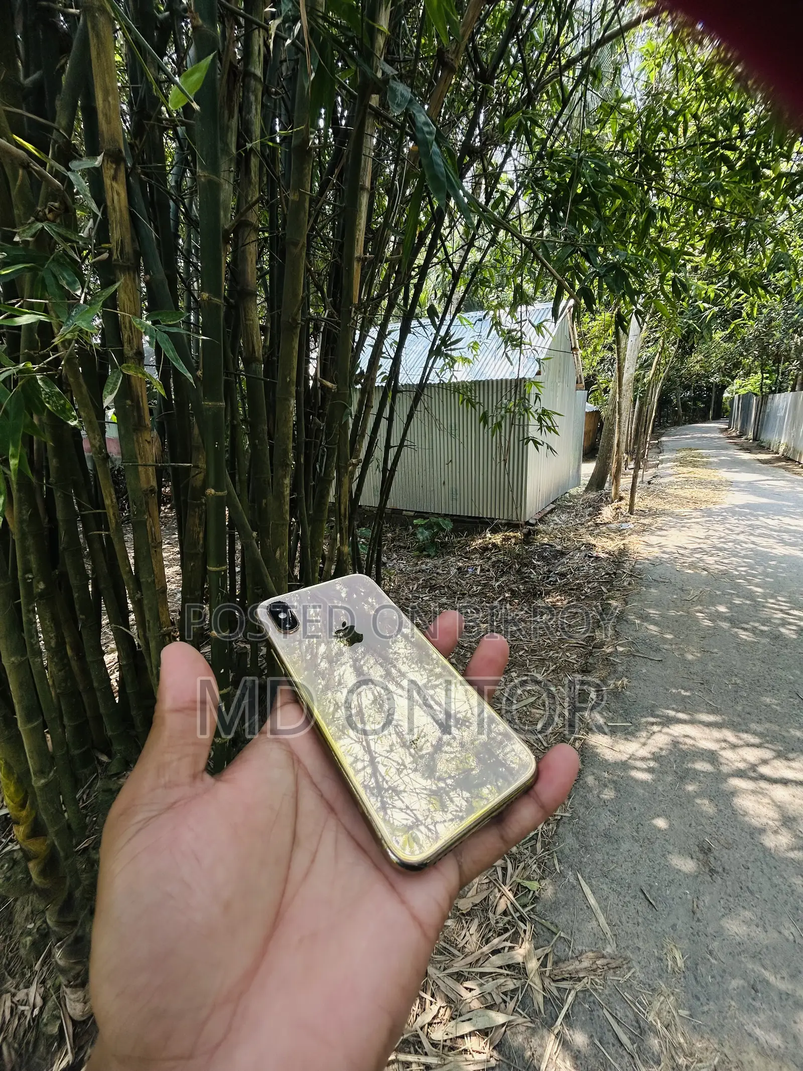 অ্যাপল আইফোন এক্সএস ৬৪ জিবি রোজ গোল্ড