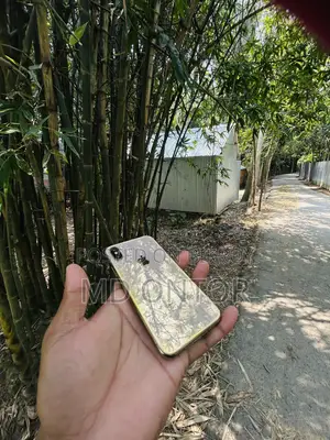অ্যাপল আইফোন এক্সএস ৬৪ জিবি রোজ গোল্ড