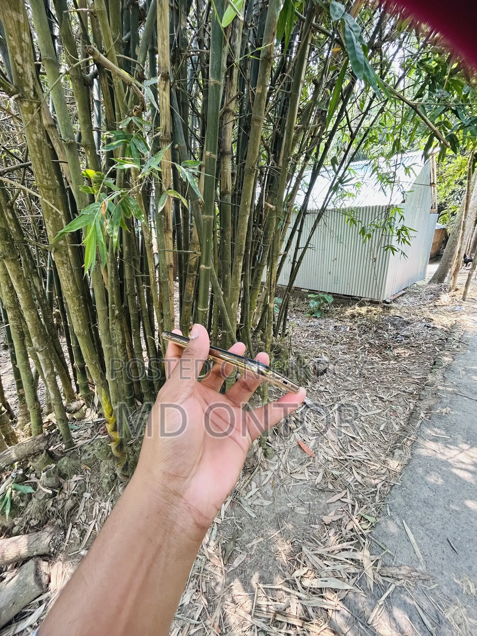 অ্যাপল আইফোন এক্সএস ৬৪ জিবি রোজ গোল্ড
