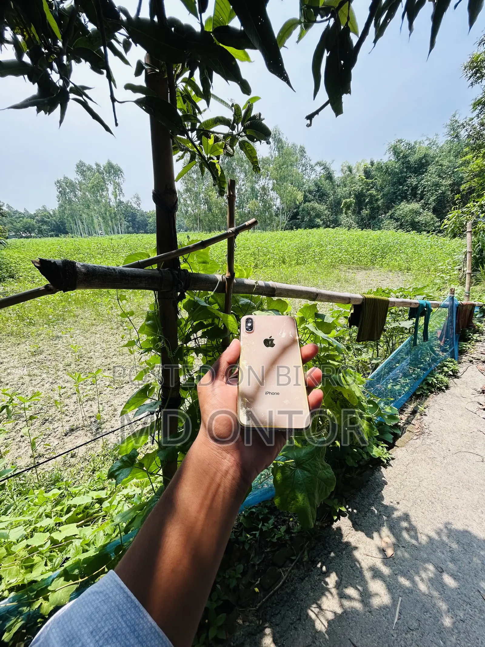 অ্যাপল আইফোন এক্সএস ৬৪ জিবি রোজ গোল্ড