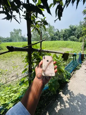 অ্যাপল আইফোন এক্সএস ৬৪ জিবি রোজ গোল্ড