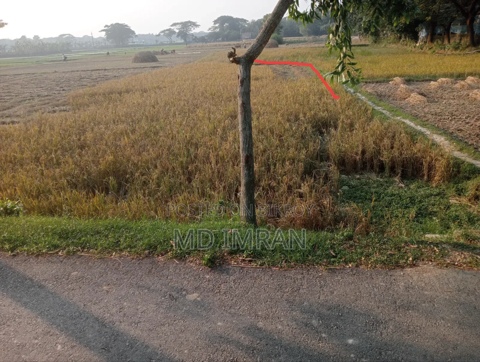 Land for sale