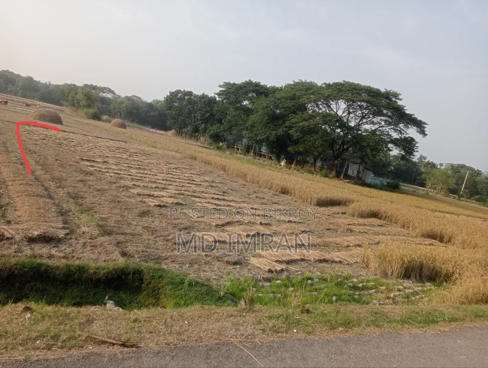 Land for sale