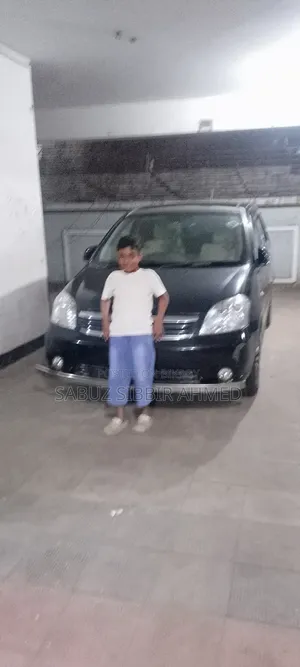 Toyota Raum 2011 Black