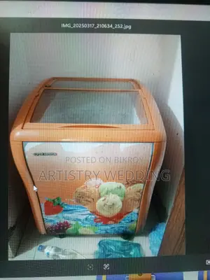 Ariston 150 Liter Deep Freez