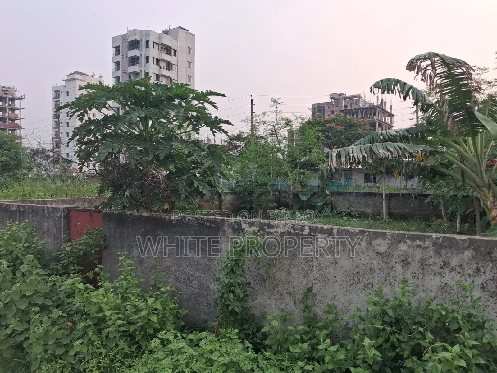 মিরপুর পল্লবী ২য় পর্যায় জমি বিক্রয়