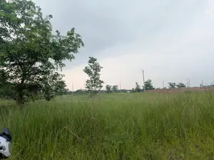 বসুন্ধরা আর/এ, এন ব্লকে ৩ কাঠা দক্ষিণমুখী প্লট বিক্রয়ের জন্য