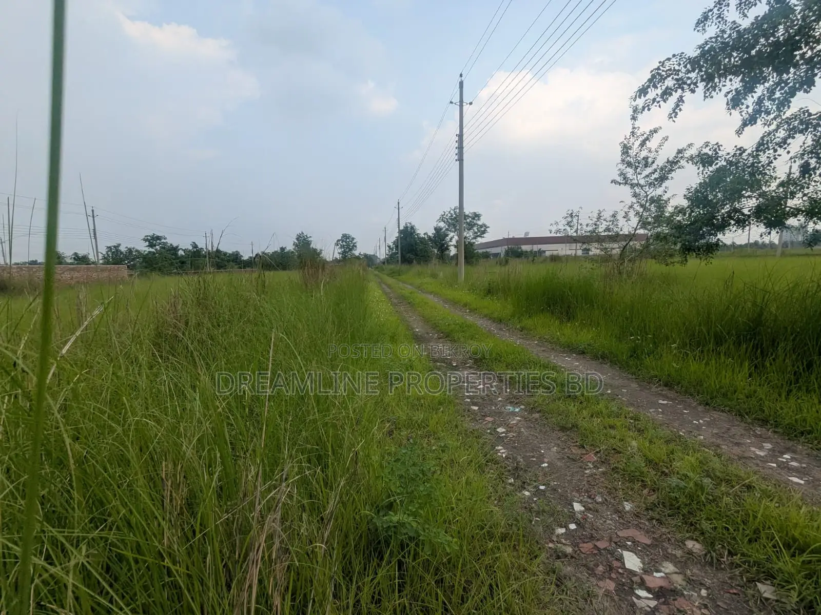বসুন্ধরা আর/এ, এন ব্লকে ৩ কাঠা দক্ষিণমুখী প্লট বিক্রয়ের জন্য