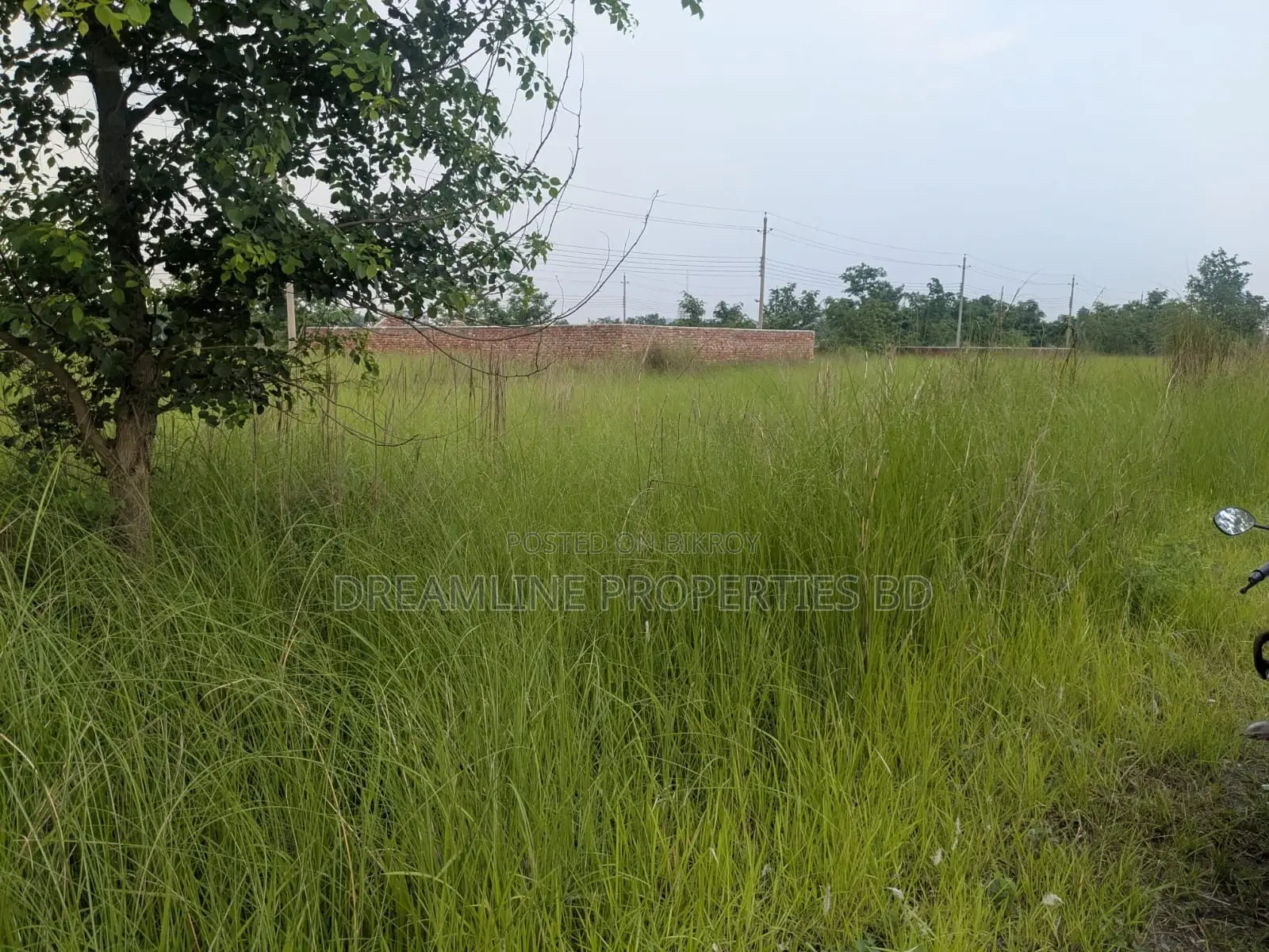 বসুন্ধরা আর/এ, এন ব্লকে ৩ কাঠা দক্ষিণমুখী প্লট বিক্রয়ের জন্য