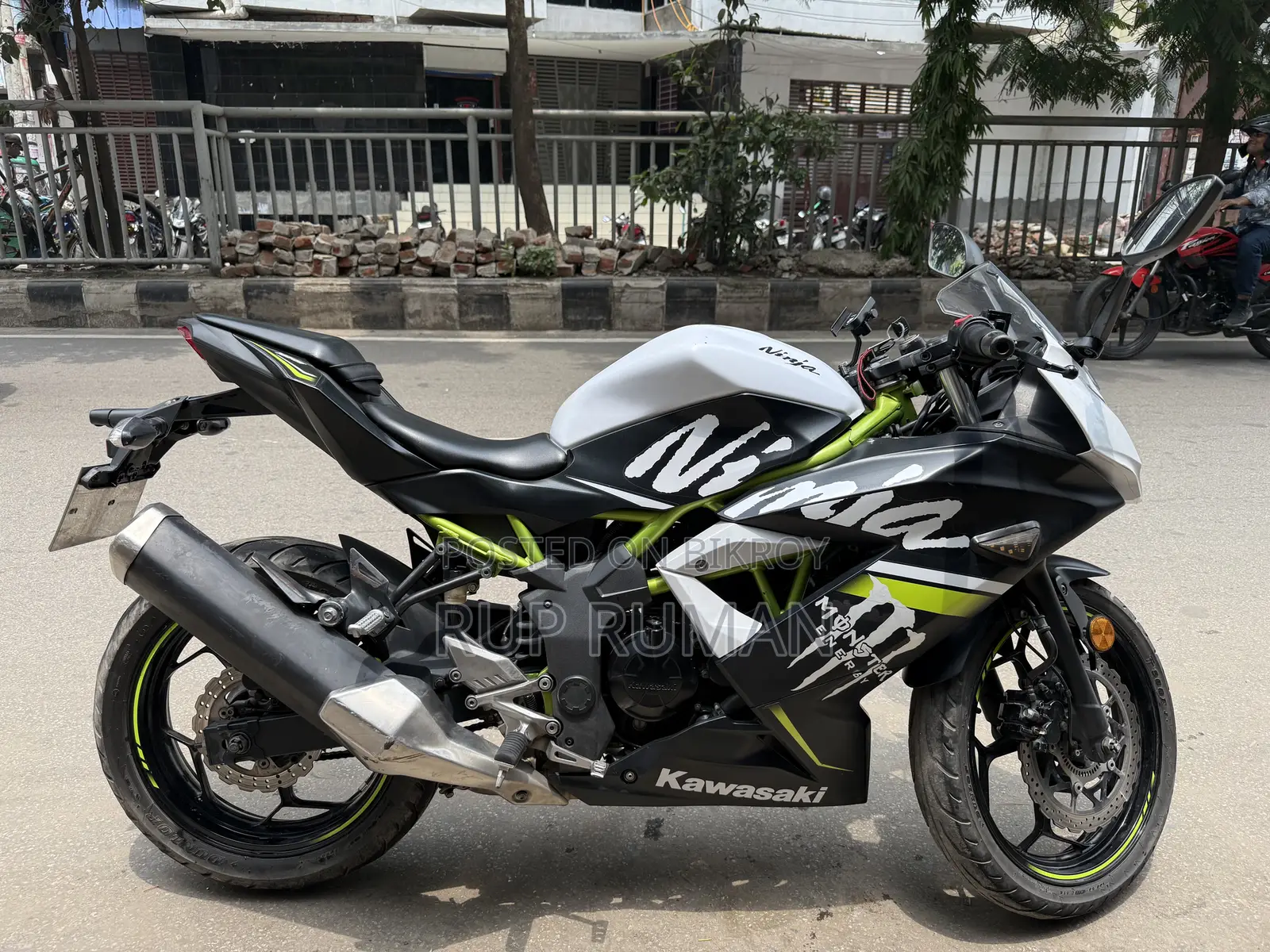 Kawasaki Bike 2019 White