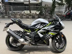 Kawasaki Bike 2019 White