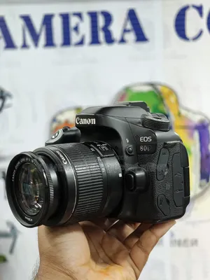 Canon 80d+18-55mm