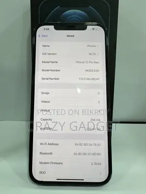 অ্যাপল আইফোন ১২ প্রো ম্যাক্স ২৫৬ জিবি ব্লু