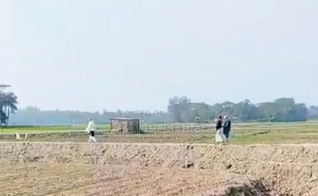 সুবর্ণচর বগা বাজারের পাশে জরুরিভিত্তিতে ১ কানি জমি বিক্রি করা হবে