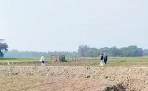 সুবর্ণচর বগা বাজারের পাশে জরুরিভিত্তিতে ১ কানি জমি বিক্রি করা হবে