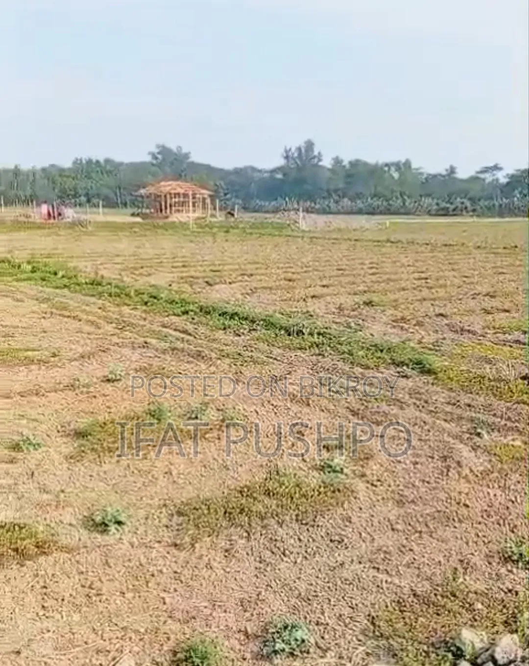 সুবর্ণচর বগা বাজারের পাশে জরুরিভিত্তিতে ১ কানি জমি বিক্রি করা হবে