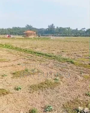 সুবর্ণচর বগা বাজারের পাশে জরুরিভিত্তিতে ১ কানি জমি বিক্রি করা হবে