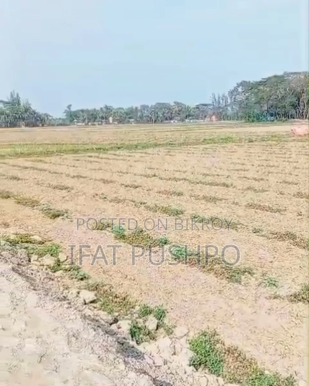 সুবর্ণচর বগা বাজারের পাশে জরুরিভিত্তিতে ১ কানি জমি বিক্রি করা হবে