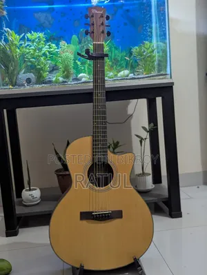 Guitar With Stand