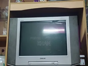 টেলিভিশন