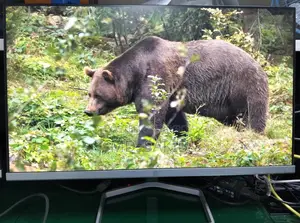 Hp M22f Ultra Slim Monitor