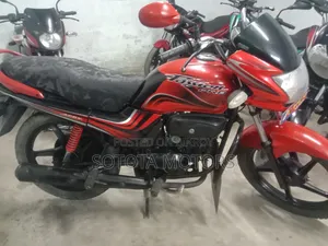 Hero Passion Pro 2013 Red
