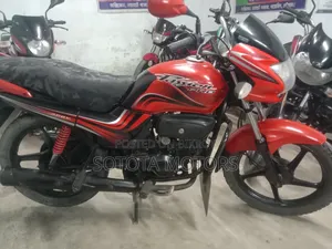 Hero Passion Pro 2013 Red