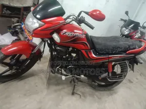 Hero Passion Pro 2013 Red