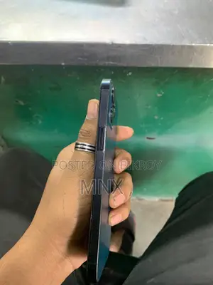 Apple iPhone 12 Pro Max 256 GB Blue