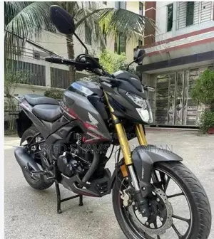 New Honda Hornet 2025 Gray