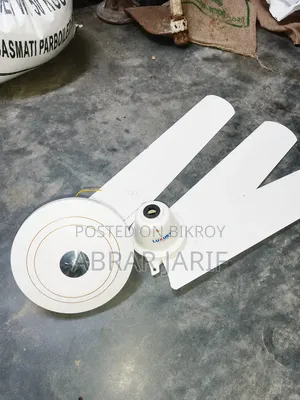 Luxury Ceiling Fan