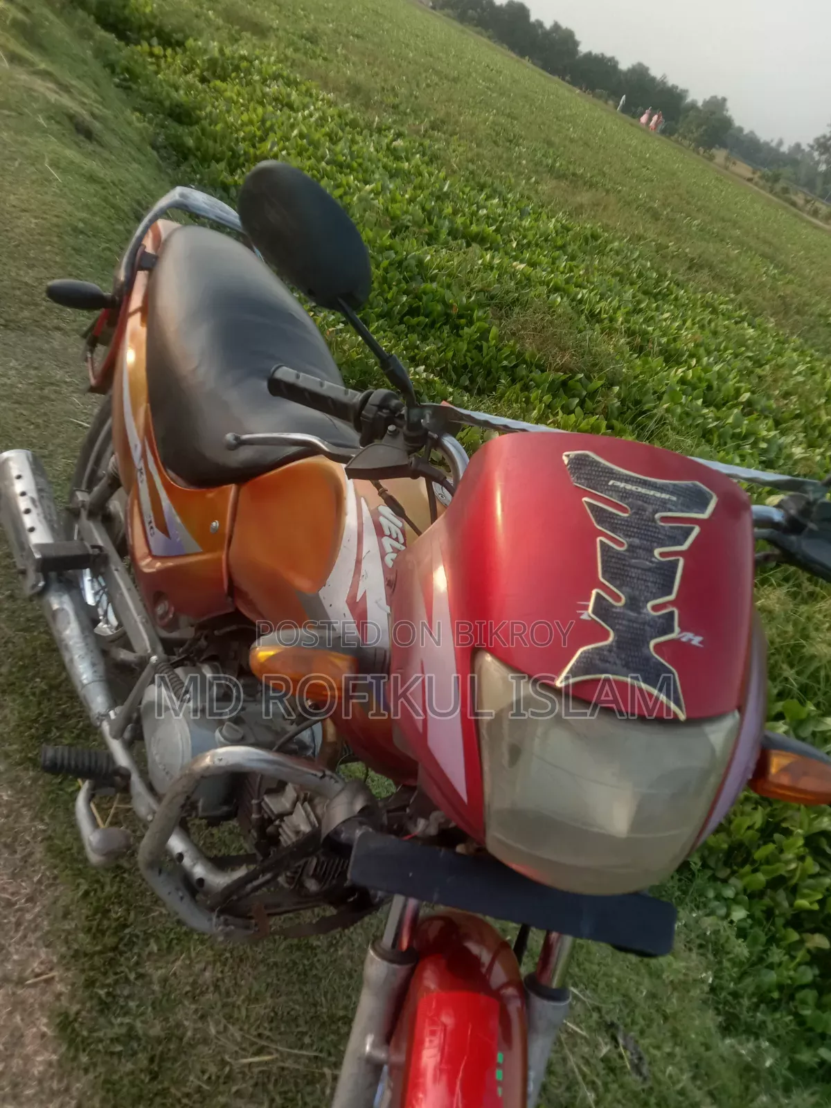 ভিক্টরি কিংপিন ২০০৫ রেড