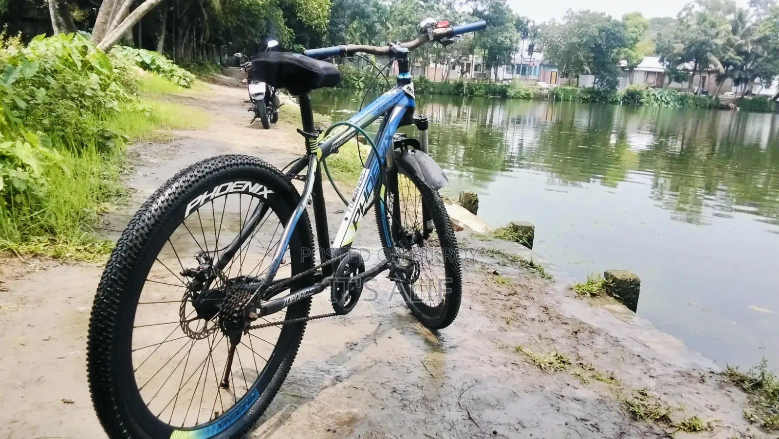ফিনিক্স টর্নেডো সাইকেল বিক্রয়ের জন্য