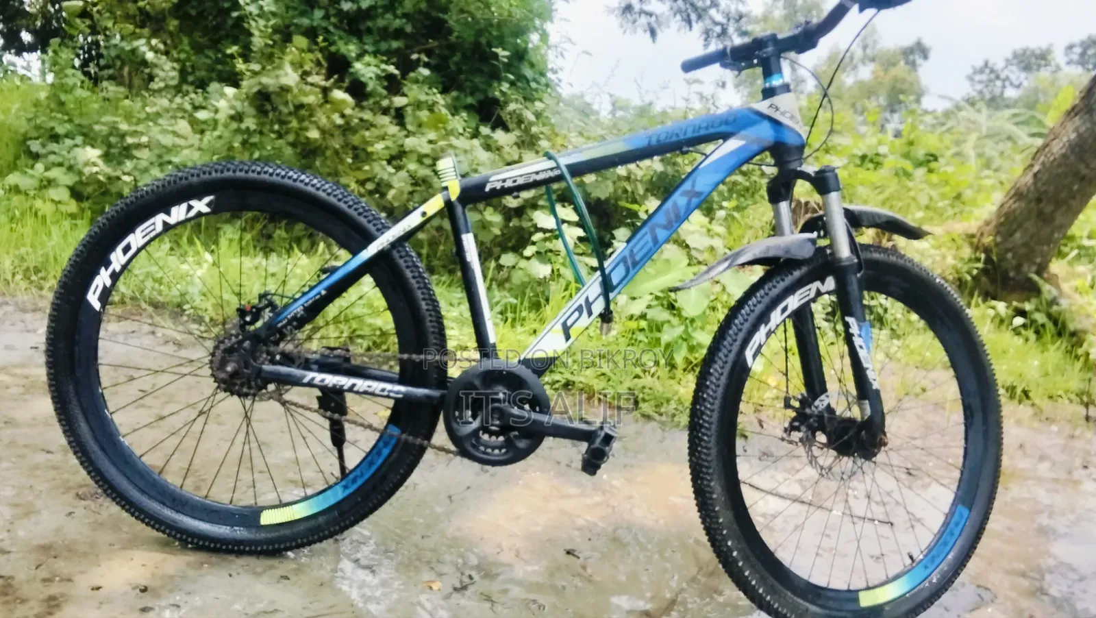 ফিনিক্স টর্নেডো সাইকেল বিক্রয়ের জন্য