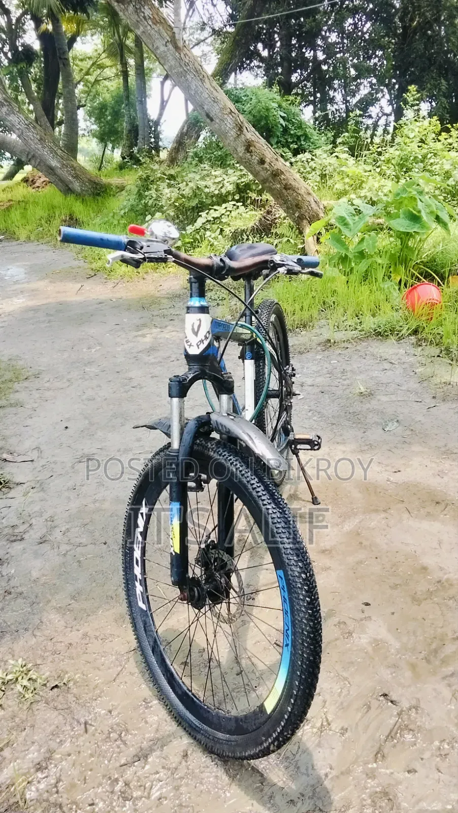 ফিনিক্স টর্নেডো সাইকেল বিক্রয়ের জন্য