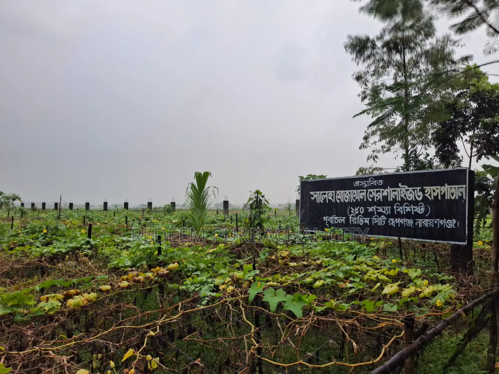পূর্বাচলে ৫ কাঠার বাণিজ্যিক জমি