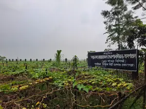 পূর্বাচলে ৫ কাঠার বাণিজ্যিক জমি