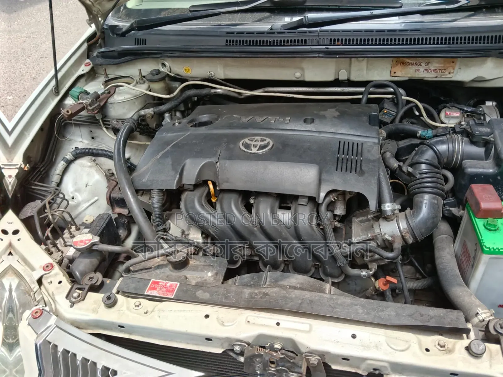 Toyota Corolla 2005 Pearl