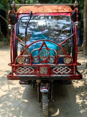 Easy bike for sale